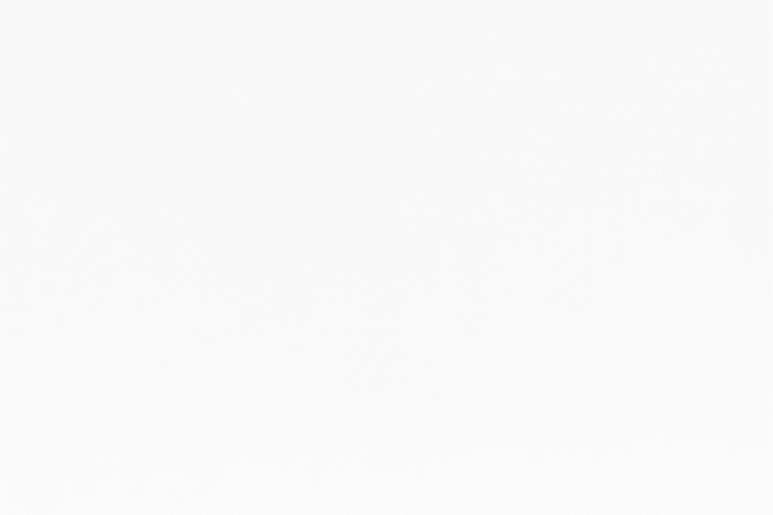 plain white background